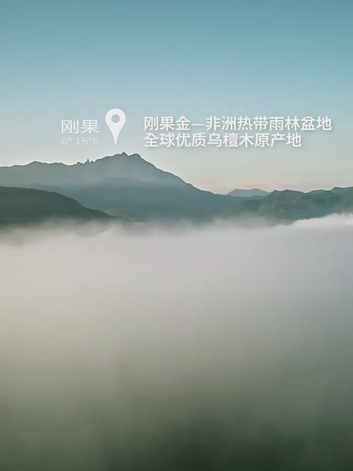 厨房必备!素味整木乌檀木菜板,抗菌防霉双面案板,家用切菜板实木砧板